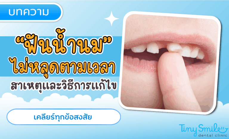 SEO Tiny Smile 1400 x 850 - 2025-05-02T114217