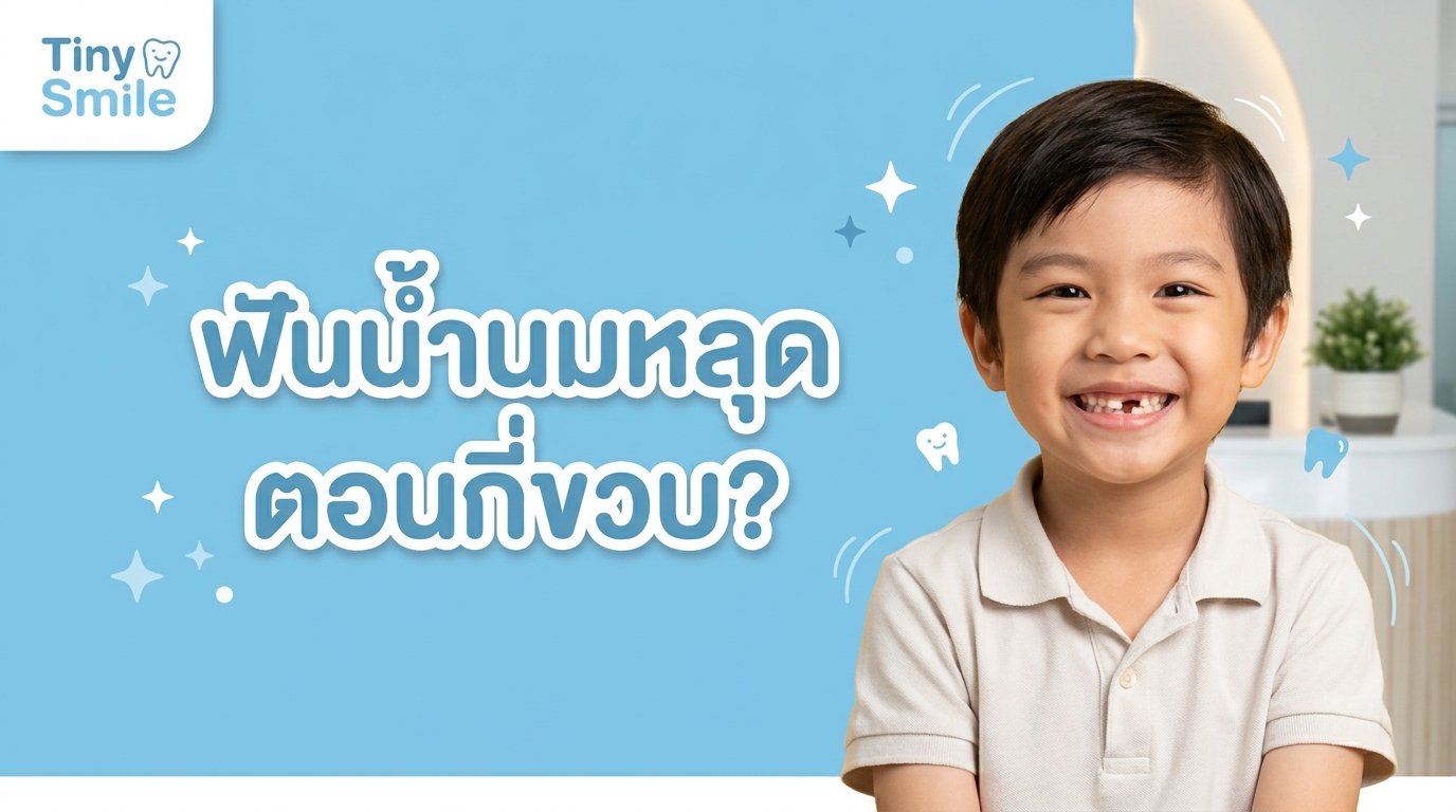 ฟันน้ำนมหลุดตอนกี่ขวบ ตารางเทียบช่วงอายุการหลุดของฟันน้ำนม Tiny Smile Dental Clinic